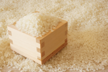 お米を中心とした食品雑貨のセレクトショップ【AKOMEYA】で食材＆雑貨販売！！
